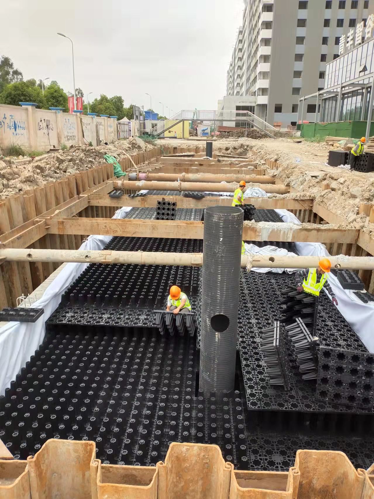 1653957673136120.jpg 4.jpg