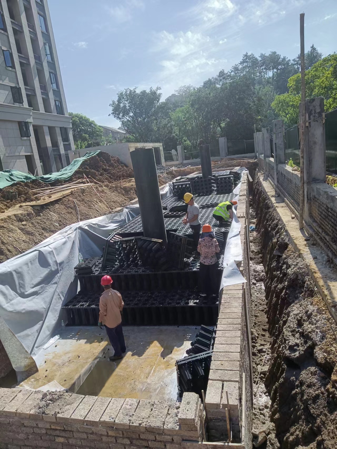 1657610449295858.jpg 7.jpg