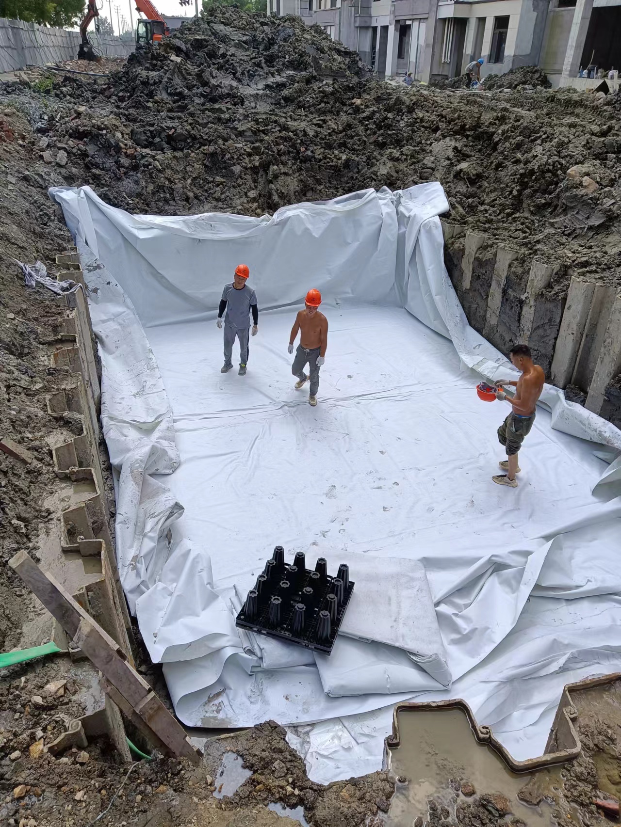 1664243320753021.jpg 2.jpg