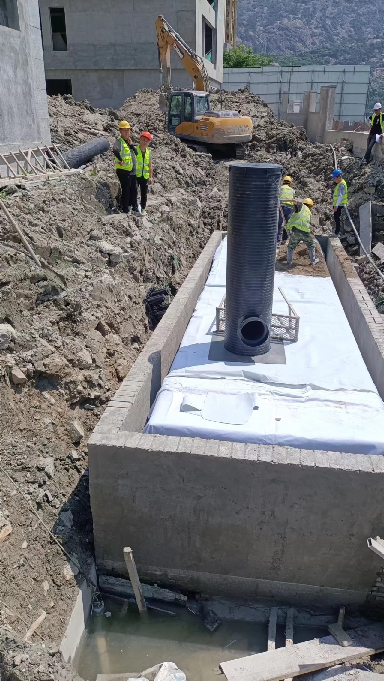 1684891058159670.jpg 6.jpg