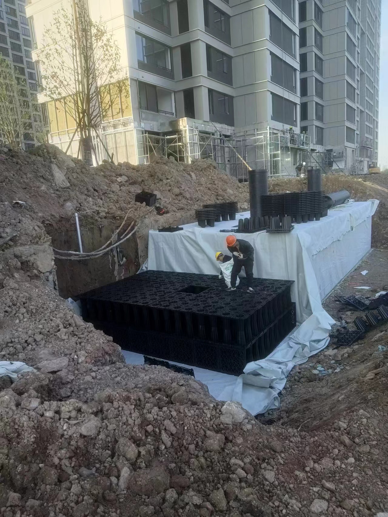 1702090736428003.jpg 3.jpg