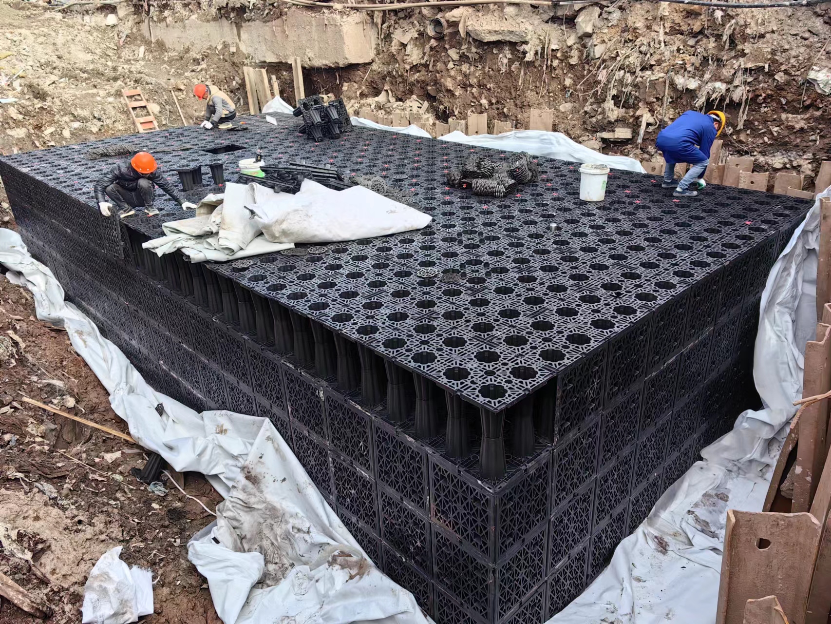 1703640601205899.jpg 6.jpg